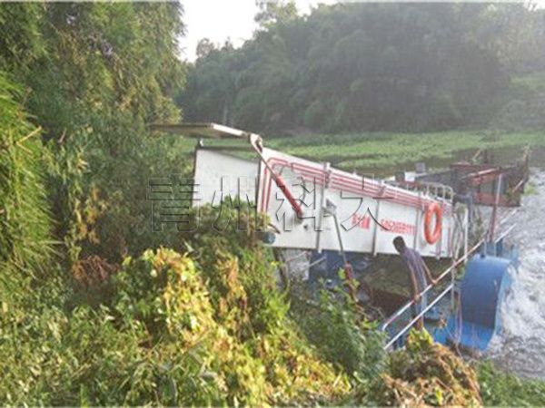 四川泸州水葫芦打捞船工作现场