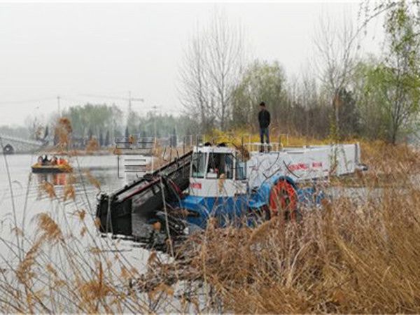 北京景区割草船工作现场