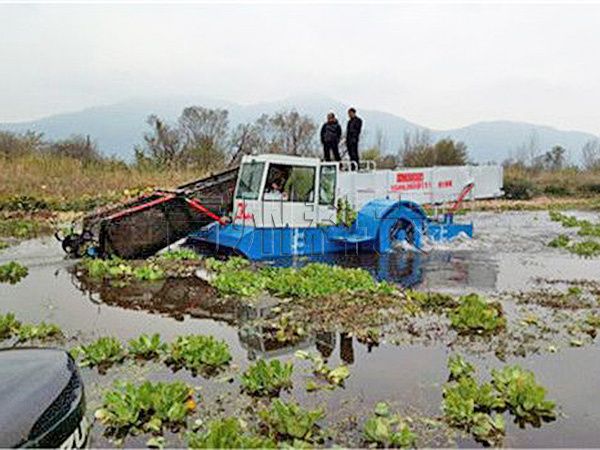 水葫芦收割打捞船