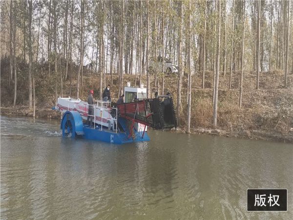 河北全自动水花生打捞船现场视频