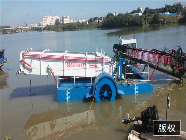 广东湛江全自动水葫芦打捞船现场视频