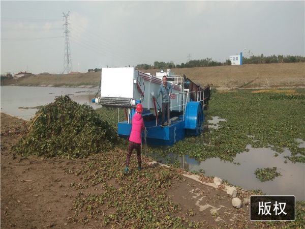 江苏南京中型全自动水葫芦打捞船