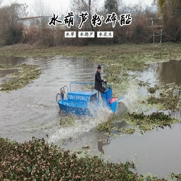 冬季安徽水葫芦碎草船